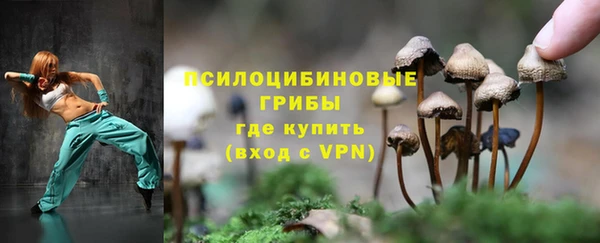 apvp Протвино